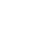 www.punk6529.org Logo